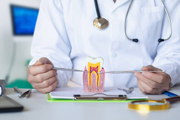 Best Emergency Broken Tooth Repair in Columbus Grove, OH